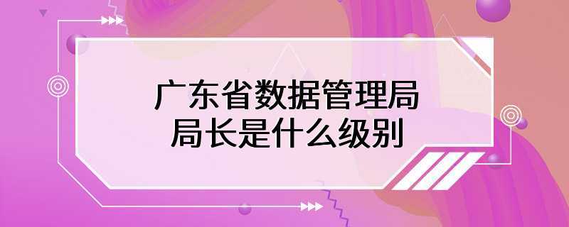 广东省数据管理局局长是什么级别