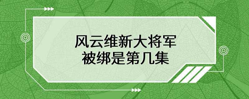 风云维新大将军被绑是第几集