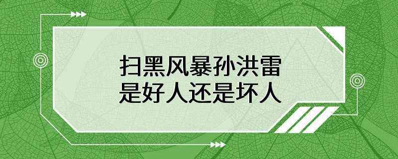 扫黑风暴孙洪雷是好人还是坏人