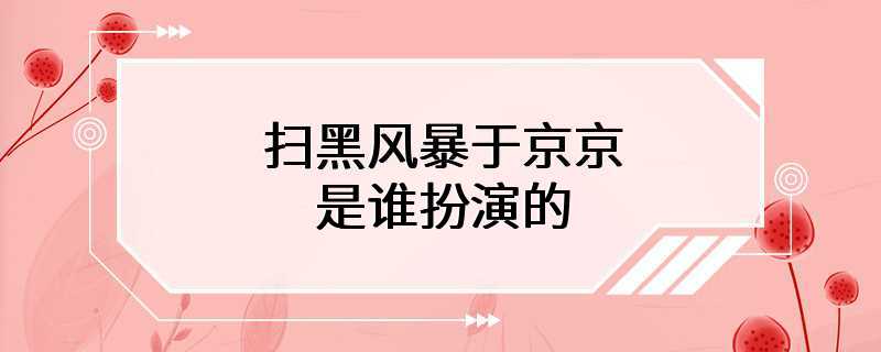 扫黑风暴于京京是谁扮演的