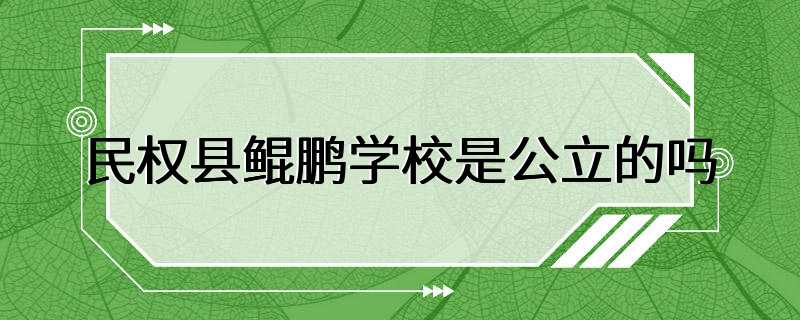 民权县鲲鹏学校是公立的吗