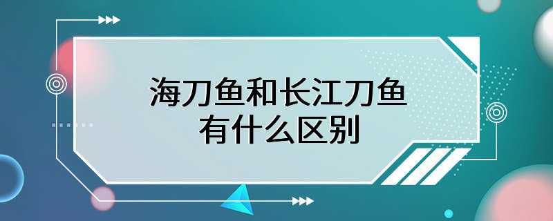 海刀鱼和长江刀鱼有什么区别