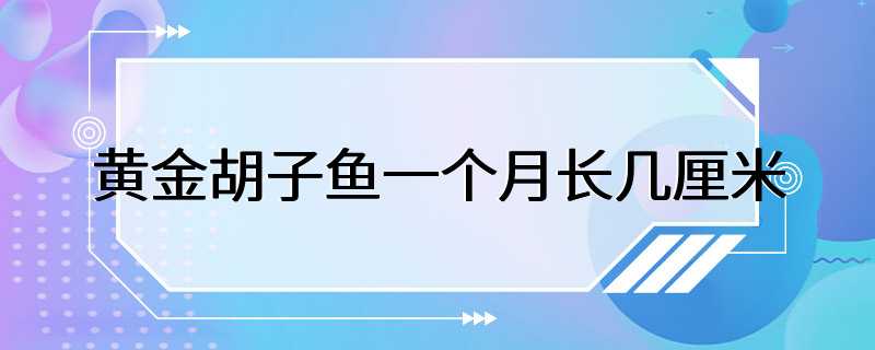 黄金胡子鱼一个月长几厘米