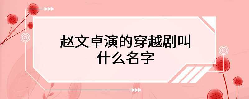 赵文卓演的穿越剧叫什么名字