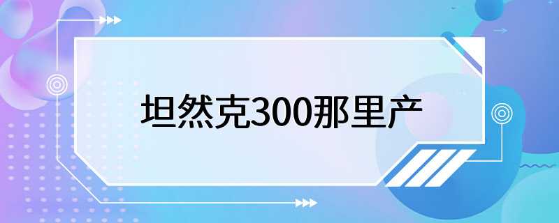 坦然克300那里产