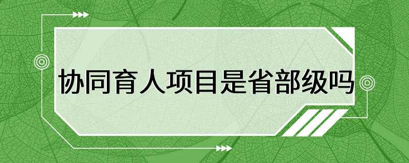 协同育人项目是省部级吗