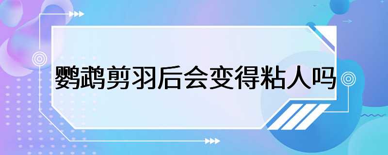 鹦鹉剪羽后会变得粘人吗