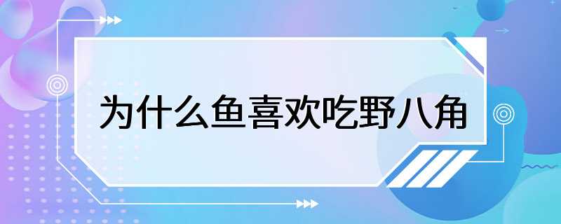 为什么鱼喜欢吃野八角