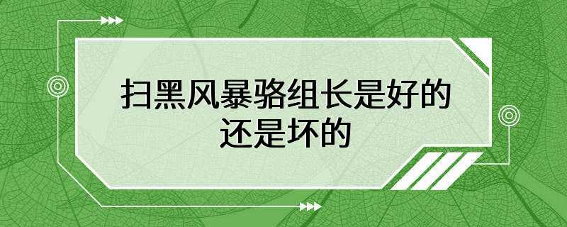 扫黑风暴骆组长是好的还是坏的