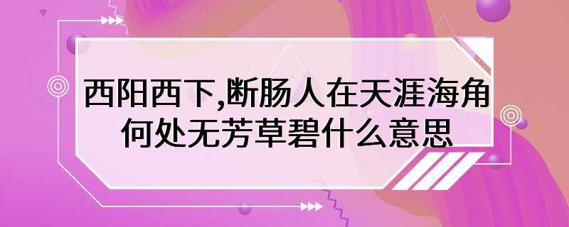 西阳西下,断肠人在天涯海角何处无芳草碧什么意思