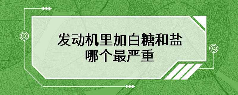 发动机里加白糖和盐哪个最严重