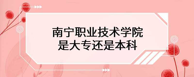 南宁职业技术学院是大专还是本科