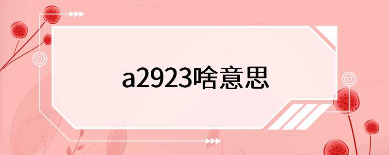 a2923啥意思