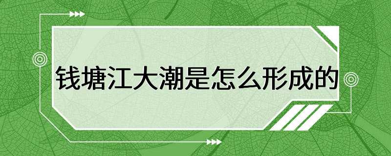 钱塘江大潮是怎么形成的