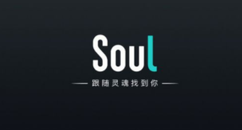 soul网站