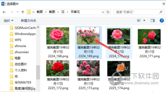 Word2019怎么设置背景图片 插入图像方法