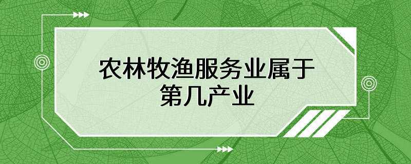 农林牧渔服务业属于第几产业