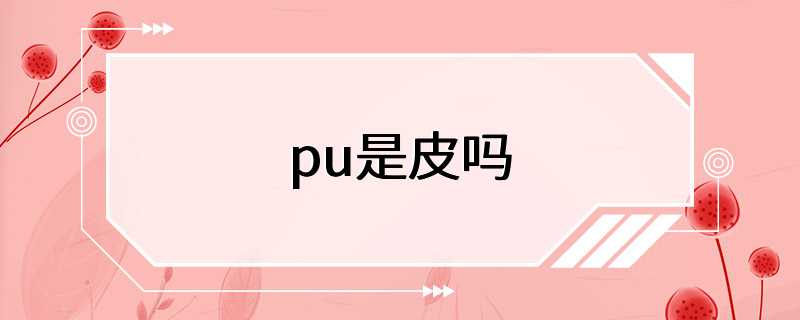 pu是皮吗