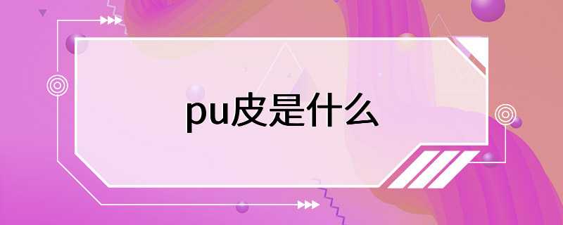 pu皮是什么