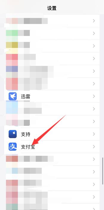 苹果支付宝wifi权限设置(1)