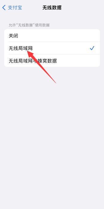 苹果支付宝wifi权限设置(3)