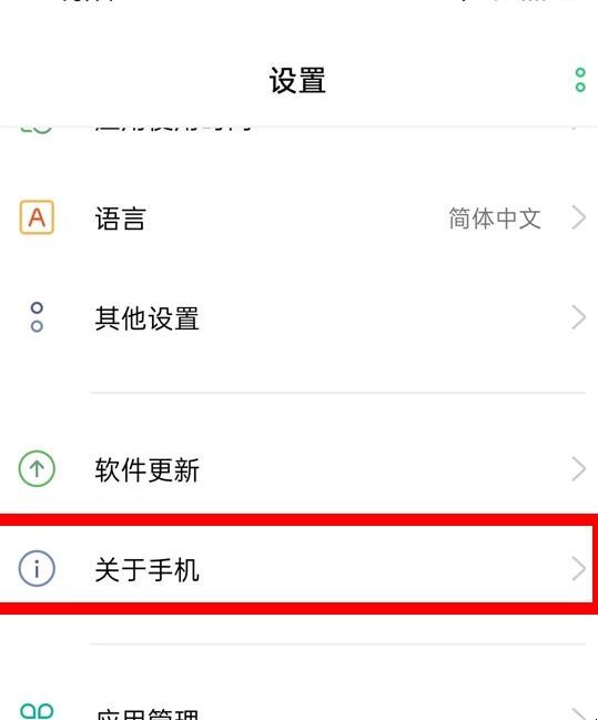 oppo手机开发者选项在哪