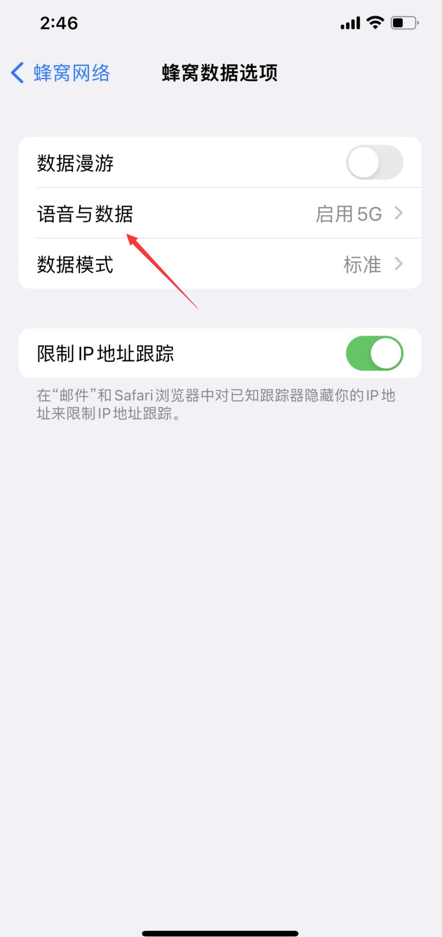 苹果手机显示1x是什么意思(3)