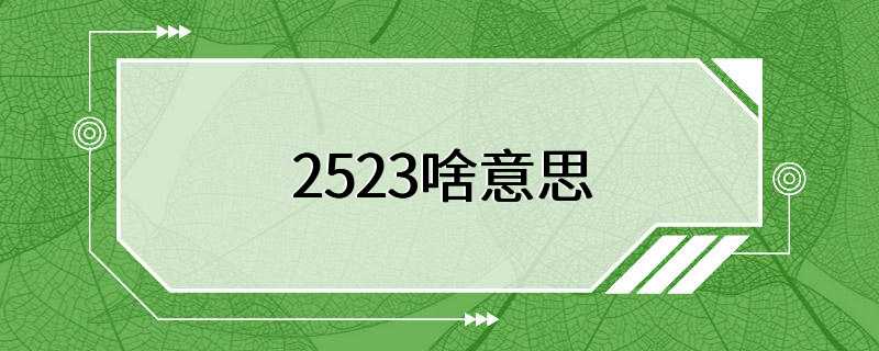 2523啥意思