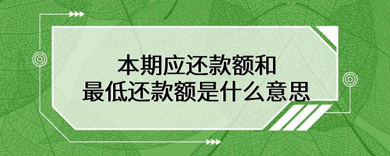 本期应还款额和最低还款额是什么意思