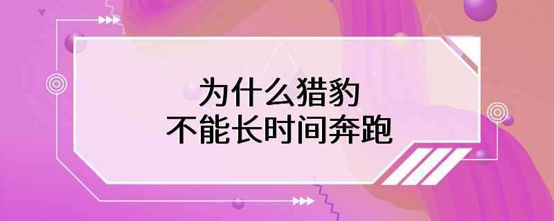 为什么猎豹不能长时间奔跑