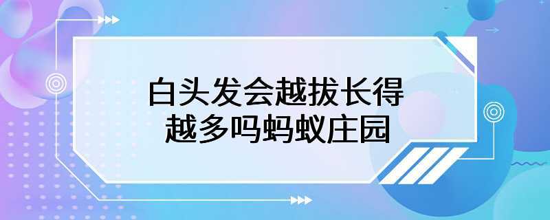 白头发会越拔长得越多吗蚂蚁庄园