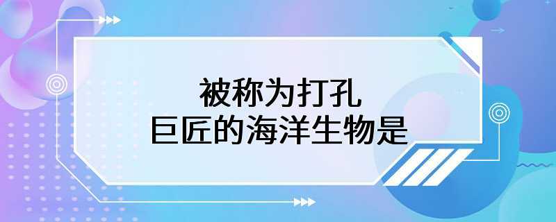 被称为打孔巨匠的海洋生物是