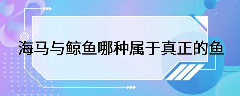 海马与鲸鱼哪种属于真正的鱼