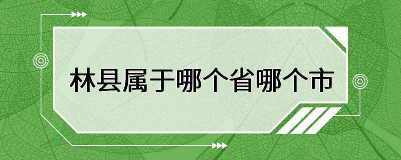 林县属于哪个省哪个市