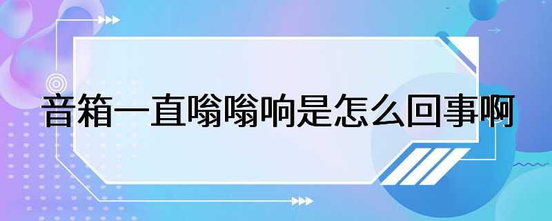 音箱一直嗡嗡响是怎么回事啊