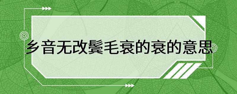 乡音无改鬓毛衰的衰的意思