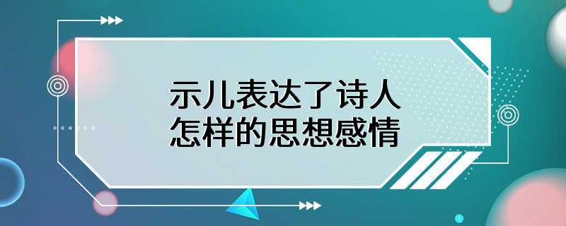 示儿表达了诗人怎样的思想感情