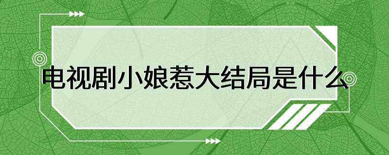 电视剧小娘惹大结局是什么