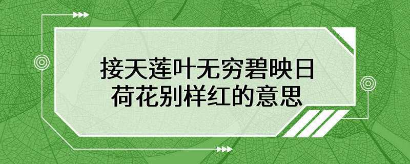 接天莲叶无穷碧映日荷花别样红的意思