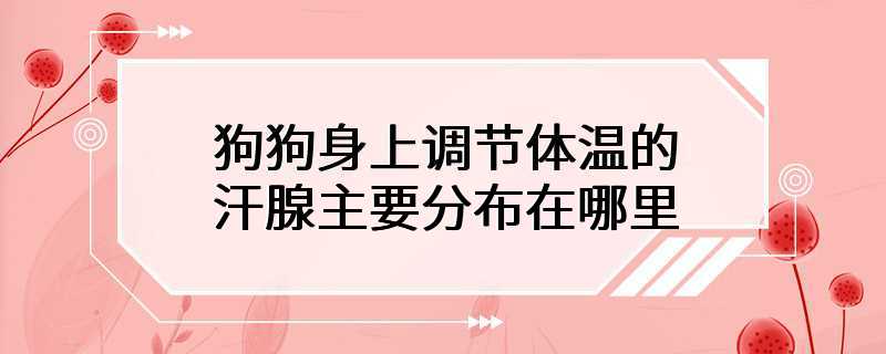 狗狗身上调节体温的汗腺主要分布在哪里