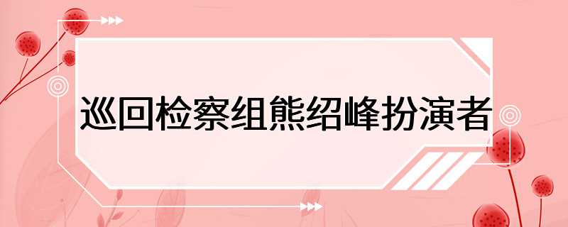 巡回检察组熊绍峰扮演者