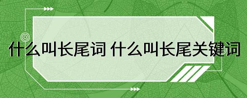 什么叫长尾词 什么叫长尾关键词