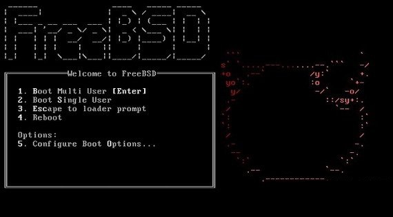 unix操作系统(FreeBSD)