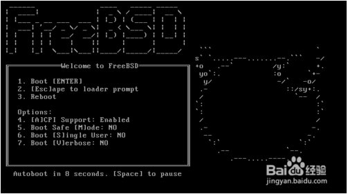 unix操作系统(FreeBSD)