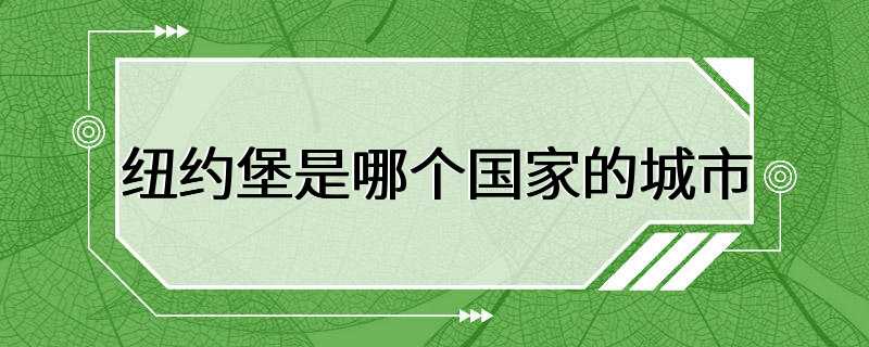 纽约堡是哪个国家的城市