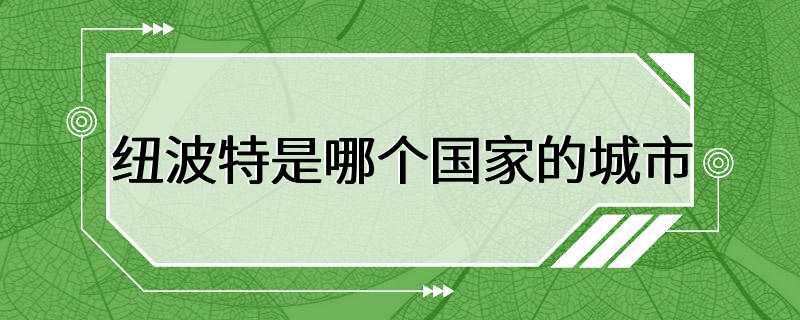 纽波特是哪个国家的城市