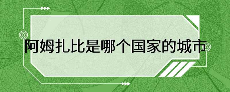 阿姆扎比是哪个国家的城市