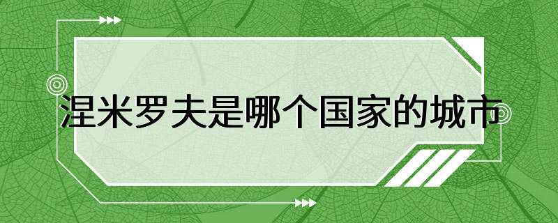 涅米罗夫是哪个国家的城市