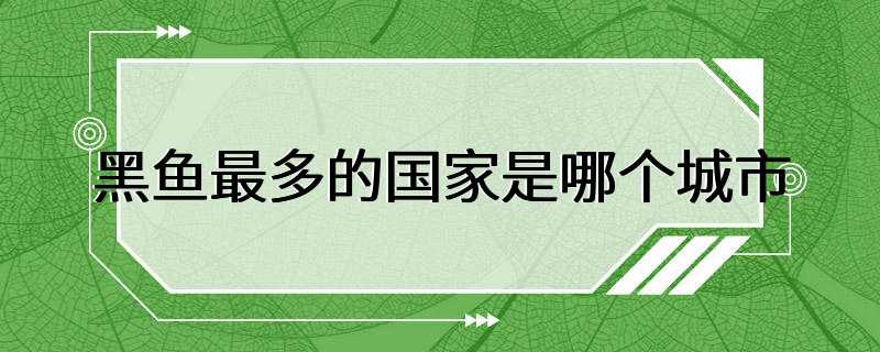 黑鱼最多的国家是哪个城市