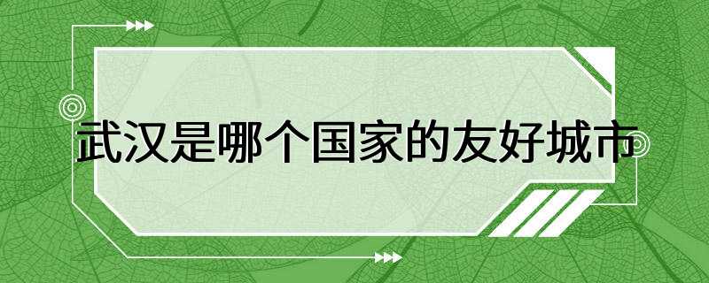 武汉是哪个国家的友好城市